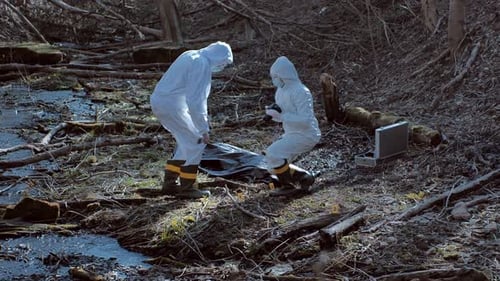 Forensic specialists working in the forest. Crime scene and police concept.