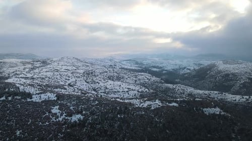 Winter Wald