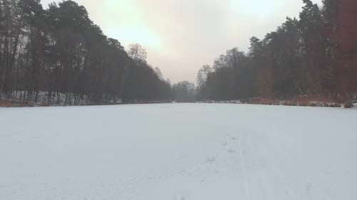 Winter Gefrorener See Und Wald