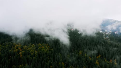 Vue aérienne après un temps pluvieux dans les montagnes. Un brouillard brumeux souffle sur la forêt de pins
.