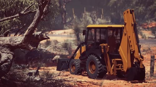 Tractor excavador en Bush Forest
