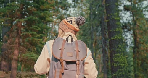 Slow Motion: Woman Hiking in Green Forest on Sunny Fall Day. Adventure Trip,