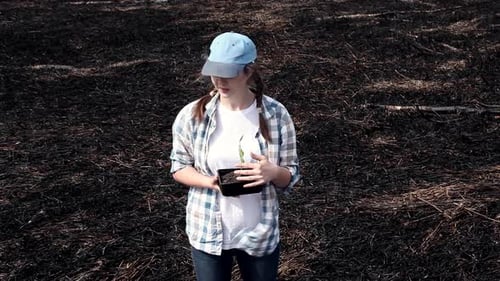 Hopeful Woman Holding Plant in Burnt Landscape