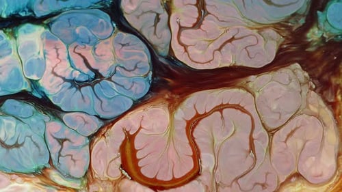 Mesmerizing Abstract Fluid Art with Swirling Colors