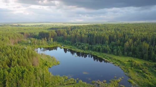 Aerial View of Lake and Forest Landscape