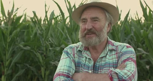 Portrait of Happy Senior Farmer Crossing Hands and Rejoices at Camera in Field