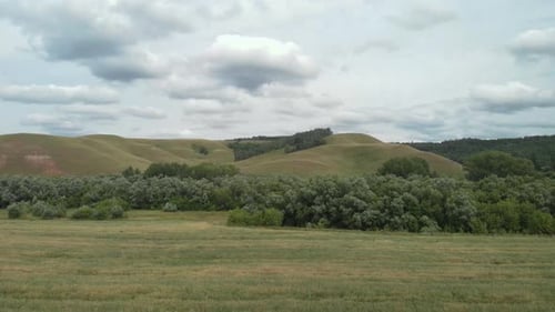 Grünes Feld mit Fichtenhügeln