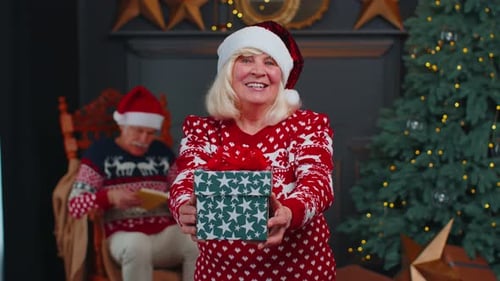 Smiling Woman Offers Christmas Gift in Cozy Setting