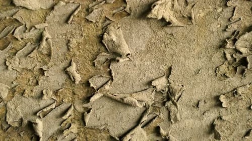 Close-up of Chipped and Peeling Wall Texture