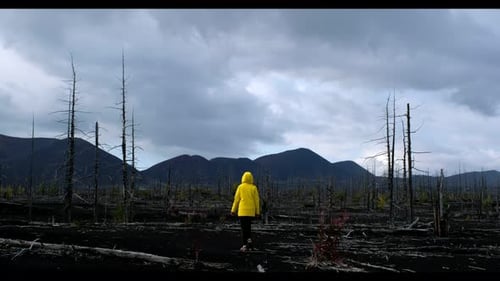 Woman Walks Through Stark Post-Apocalyptic Landscape