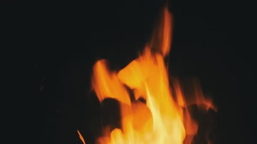 Fire Flames on a Black Background. Bonfire Burning at Night. Slow Motion