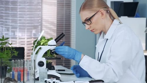 Blonde Scientist Working in a Laboratory with Microscope