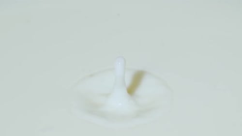Extreme close up of a milk drop falling, Ultra Slow Motion