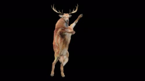 Animated 3D Dancing Deer With Transparent Background