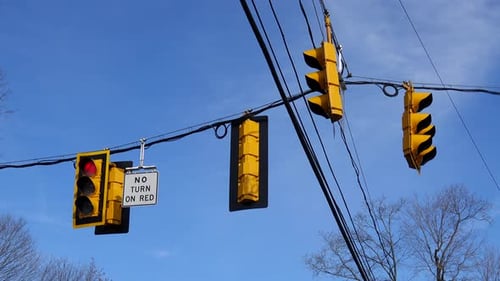 Scene of a Group of Traffic Signals
