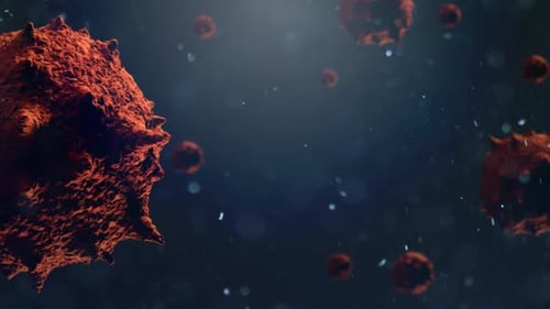 Koronavirus