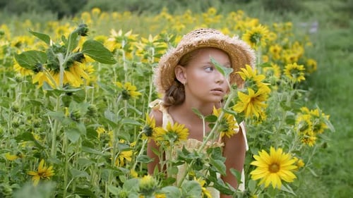 Portrait Romantic Girl in Straw Hat on Sunflowers Meadow in Summer Village. Beautiful Young Woman in