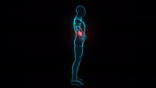 Human body with liver disease hologram.