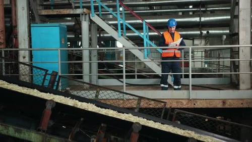 Engineer in a Protective Helmet Checking Quality of Crop in Factory Sugarbeet