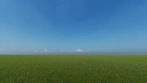 Summer Background Rural Landscape