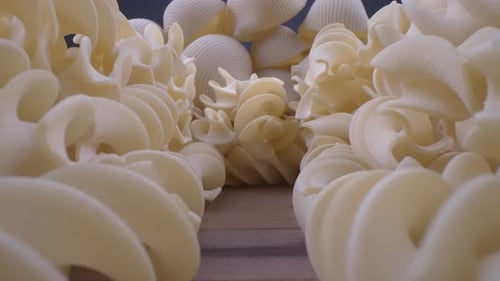 Close Up of Uncooked Rotini and Shell Pasta