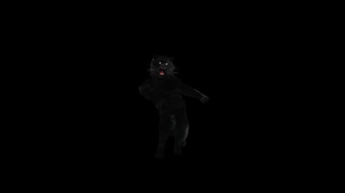 Panther Dancing HD