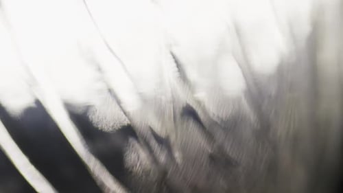 Cinematic Abstract Motion Background (No CGI used) 1249