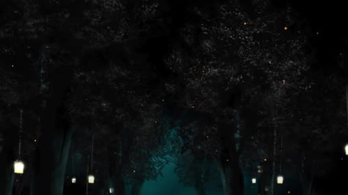 Nachtwald-Hintergrund