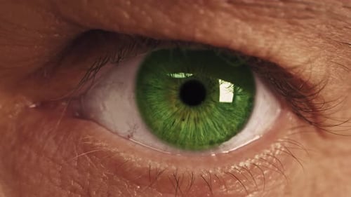 Close Up Shot of Eye Opening with Beautiful Green Iris