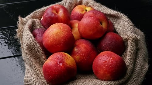 Fresh Red Nectarines in Burlap Sack Still Life