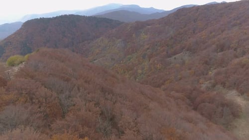 Vast Expanses of Balkan Woods During the Autumn