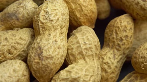 Close Up of Raw Peanuts in Shells
