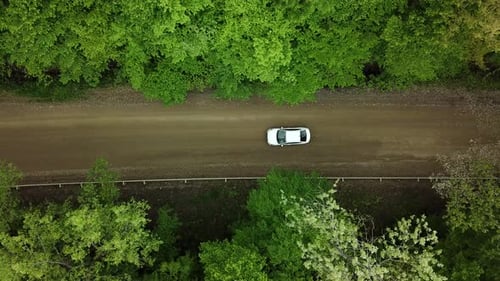 Aerial Top Down View of White Car Driving on Rural Road in Forest