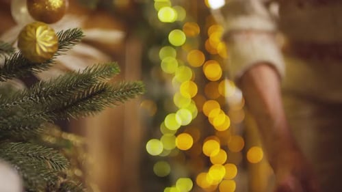 Decoration of Christmas Tree