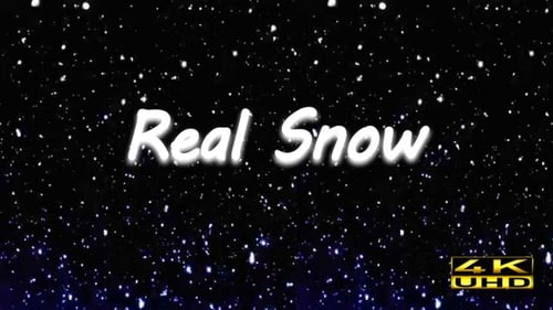 Realistic Falling Snow Overlay for Winter Holiday Videos