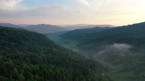 Nature. Fog over the forest in the mountain valley. View from the air. Summer landscape