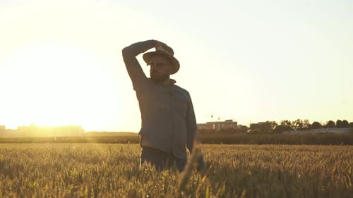Farmer Undresses Hat, Rejoices and Put on Head It Again Among the Wheat Field