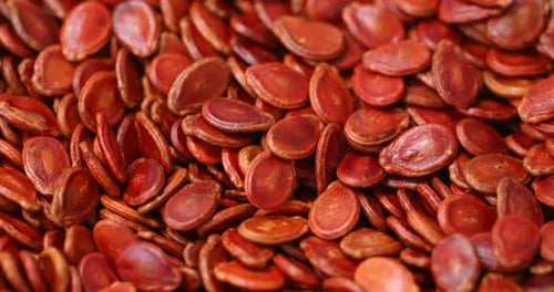 Red watermelon seed