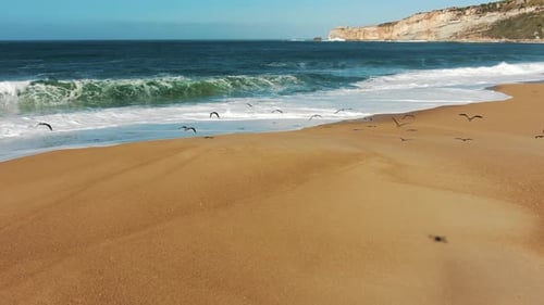 Seagulls Fly Away at Sight of Flying Drone Against Background of High Waves on Ocean on Sunny Day
