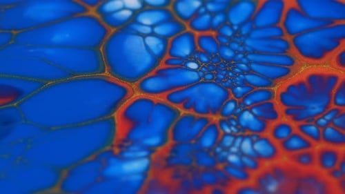Macro Shot of Blue and Orange Fluid Art