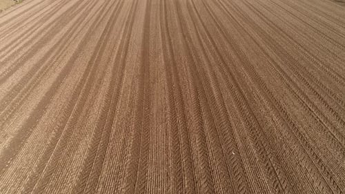 Bewegung durch ein landwirtschaftliches Feld in Bodennähe