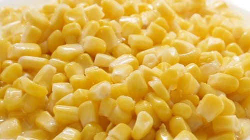 Sweet maize kernels from the can on plate close-up 4K 2160p 30fps UHD footage - Vegetable corn Zea