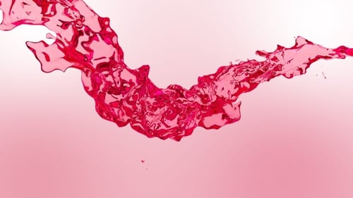 Fluid Pink Splash Element Animation
