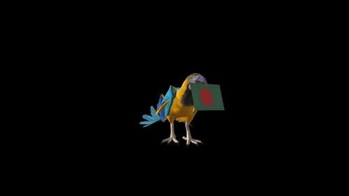 Drapeau de transport de perroquet - Bangladesh