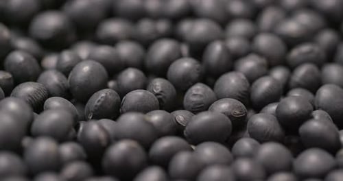 Close Up of a Pile of Black Beans