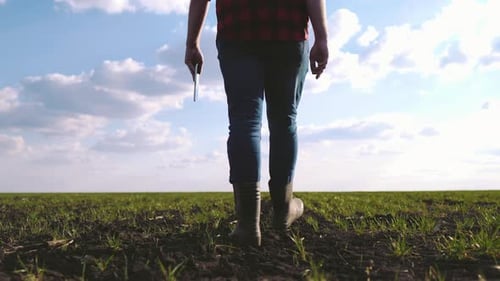 Adult Walking Across Green Field with Tablet