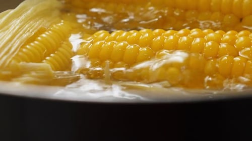 Corn Boiling in Water in a Pot