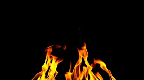 Feuer brennt auf schwarzem Hintergrund