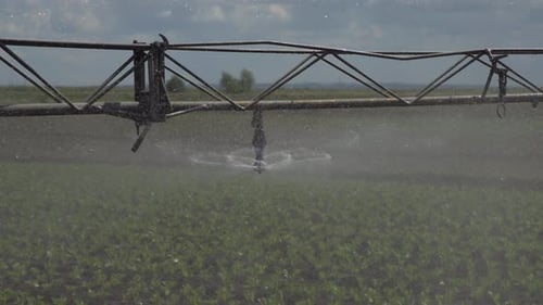 Irrigation System on Agricultural Land