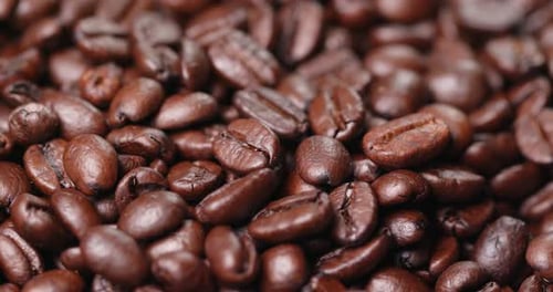 Roasted coffee bean